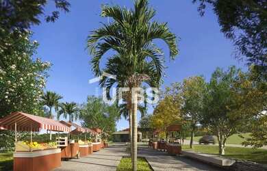 Imagem 5: Lote no Jardins Zurique. Piscina, Churrasqueirae651m² de Área