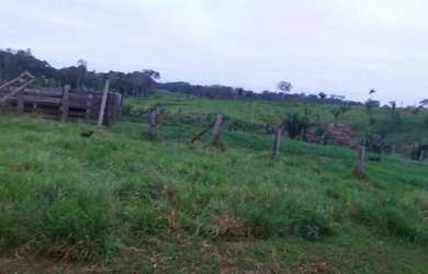 Imagem 7: Vende-se uma linda fazenda