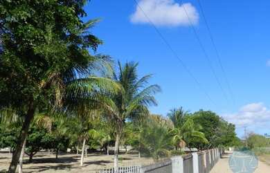 Imagem 2: SãO JOSE DE MIPIBú - Casa Padrão - São José De Mipibu