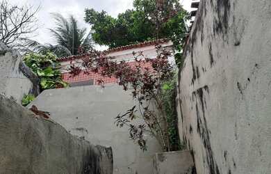 Imagem 7: Casarão centro Casa com 2 dormitórios