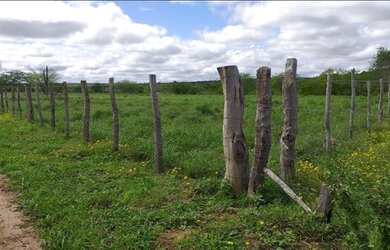 Imagem 5: Crédito Rural Para Fazendas