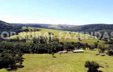 Imagem: A fazenda está localizado em Porto Feliz, SP à venda por R$25.000.000