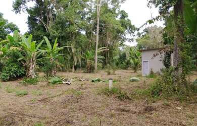 Imagem 1: Área livre. 5.000m² de Área