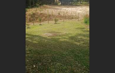 Imagem 9: Chácara em Araucária. 9.000m² de Área