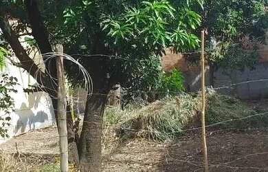 Imagem 1: Vendo lote. 360m² de Área