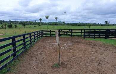 Imagem: A fazenda está localizado em Iracema, RR à venda por R$10.000