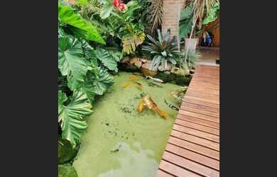 Imagem 9: Venda sobrado alto padrão