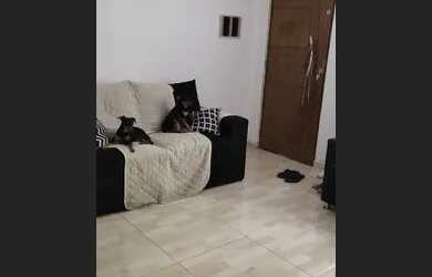 Imagem: O apartamento possui 2 Dormitórios, 1 Banheiro, 2 Vagas na