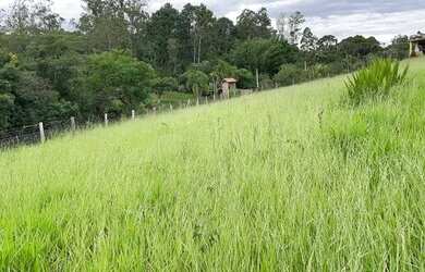 Imagem 3: CHACRINHA OU TERRENO 1250M² COM FIBRA ÓTICA, ÁGUA ENCANADA, ESCRITURA...