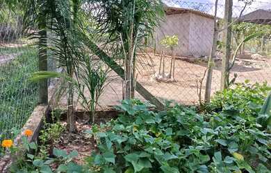 Imagem 6: Chácara 1300 metros - 220 mil