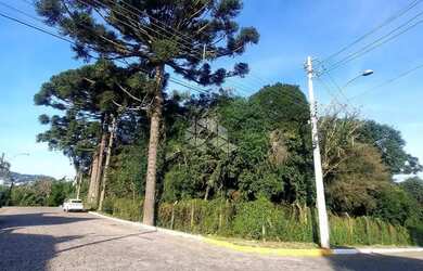 Imagem: O terreno possui 1.050m² de Área e está localizado em Garibaldi