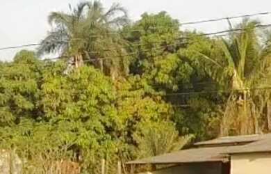 Imagem: A casa possui 3 Dormitórios, 2 Banheiros, 5 Vagas na garagem