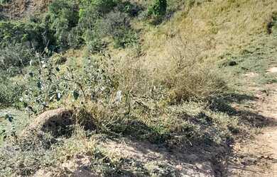 Imagem 2: Vende se um terreno no pouso alegre