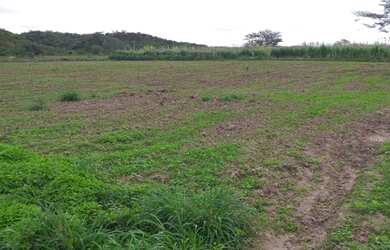 Imagem 9: Crédito Rural Para Fazendas