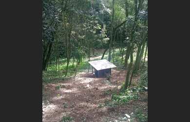 Imagem 5: Chácara em Araucária. 9.000m² de Área