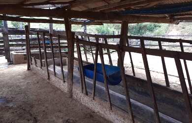 Imagem 6: Terra em tarumirim. 