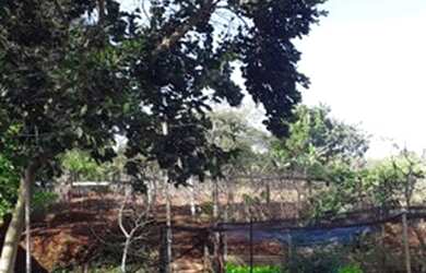 Imagem: A casa possui 2 Dormitórios, 2 Banheiros, 2 Vagas na garagem