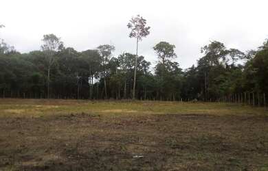Imagem: O terreno possui 5.000m² de Área e está localizado em Tarumã