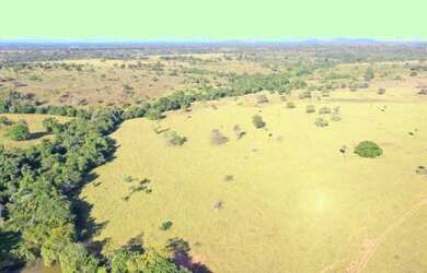 Imagem: A fazenda está localizado em Santa Terezinha de Goiás, GO