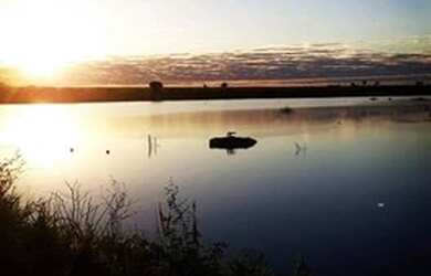 Imagem: A fazenda possui 1m² de Área e está localizado em Jussara