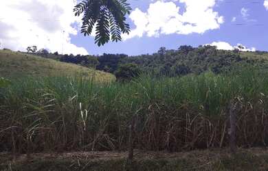 Imagem 4: Terra em tarumirim. 