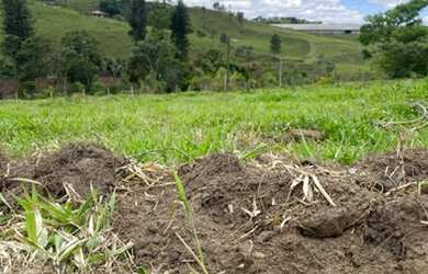 Imagem 2: Lote/Terreno para venda tem 1000 metros quadrados em Jardim Marcondes...