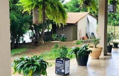 Imagem 6: chácara em inhumas. 94.000m² de Área