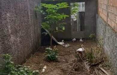 Imagem 11: Casa área rural 22 minutos da praia