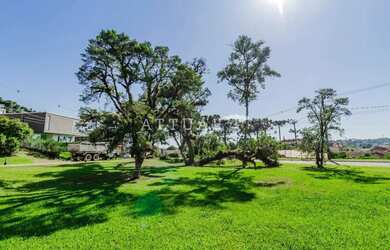 Imagem 9: TERRENO ESPETACULAR - CONDOMÍNIO FECHADO EM CANELA