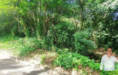 Imagem 15: TERRENO NO MEIO DA MATA -GREEN WOOD ITANHANGA