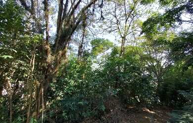 Imagem 6: 0 - Terreno - VILA VALQUEIRE