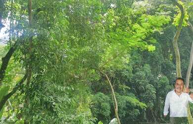 Imagem 6: TERRENO NO MEIO DA MATA -GREEN WOOD ITANHANGA