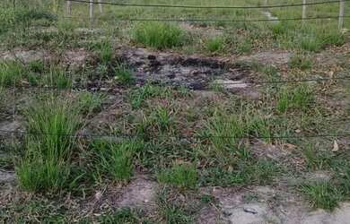 Imagem: O terreno possui 90m² de Área e está localizado em Itatiquara