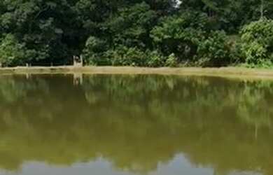 Imagem 2: chácara em inhumas. 94.000m² de Área