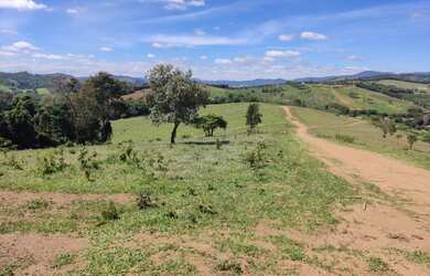 Imagem 15: Lote/Terreno para venda possui 1000 metros quadrados em Vila Santista...