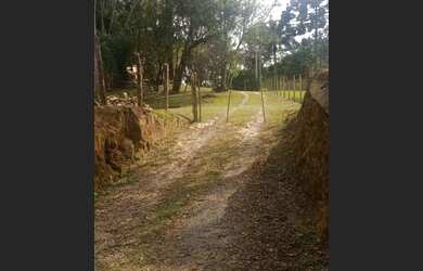 Imagem 14: Chácara em Araucária. 9.000m² de Área