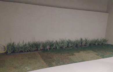 Imagem 5: Casa 3 quartos 1 suíte alto padrão Bairro Cardoso