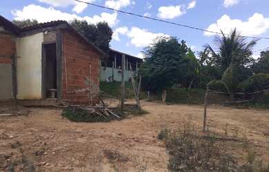 Imagem 7: Terra em tarumirim. 