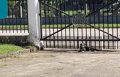 Imagem 9: GALPAO INDUSTRIAL em DUQUE DE CAXIAS - RJ, MANTIQUIRA