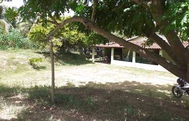 Imagem 8: Terra em tarumirim. 