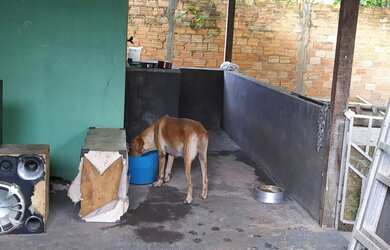 Imagem 5: Ajuguel. 1 Vaga na garageme1 Dormitório