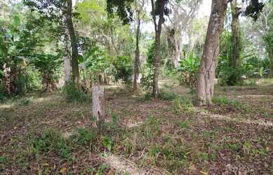 Imagem 5: Área livre. 5.000m² de Área