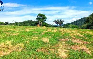 Imagem 15: Lote/Terreno para venda tem 1000 metros quadrados em São Miguel Paulista - São Paulo - SP