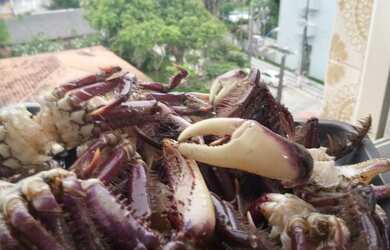 Imagem 4: Apartamento em caiobá. Ar-condicionado, 1 Vaga na garageme1 Dormitório