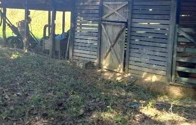 Imagem 7: Venda fazenda Unaí mg escriturada formada rio bem estrururada