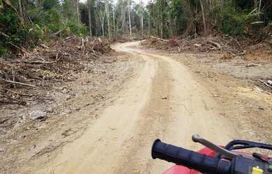 Imagem 14: VENDO FAZENDA 2988 hec ESCRITURADA REGIÃO DE AMAJARI RORAIMA 4250