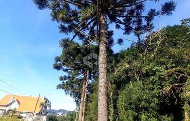 Imagem 7: Amplo terreno de esquina. 1.050m² de Área