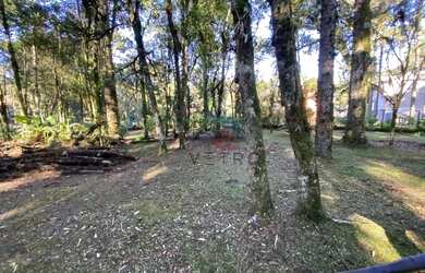 Imagem 3: Terreno à Venda em Canela, na Vila Suzana!