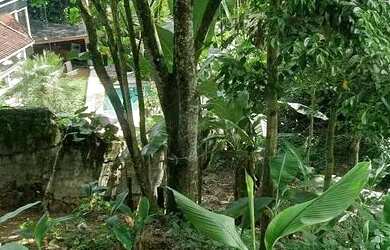 Imagem 3: TERRENO NO MEIO DA MATA -GREEN WOOD ITANHANGA