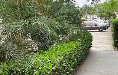 Imagem 3: Excelente Apartamento em Guaratiba para aluguel tem 42 metros quadrados